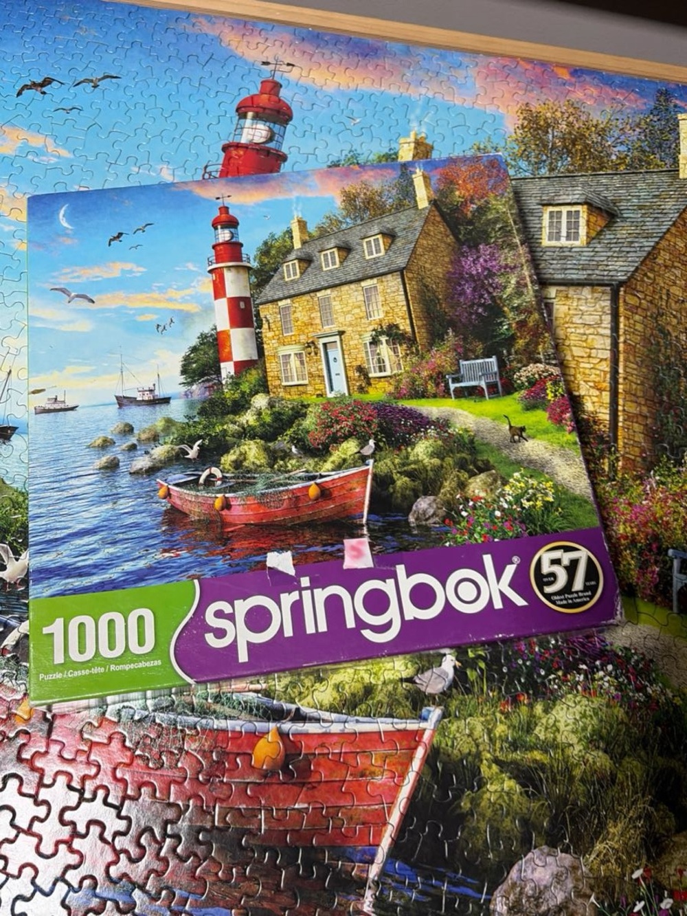 Springbok 1000-Piece Cottage Lighthouse (2020) 🎨 Dominic Davison
